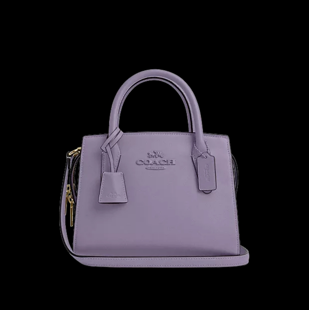 New coach mini andrea bag